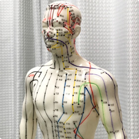 ツボ「経穴（けいけつ）」が描かれた人体模型